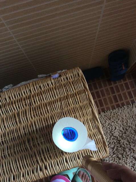  寶媽買了紫光手電，衣服上好多熒光劑，看的心慌害怕